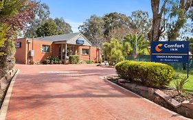 Comfort Inn Coach & Bushmans